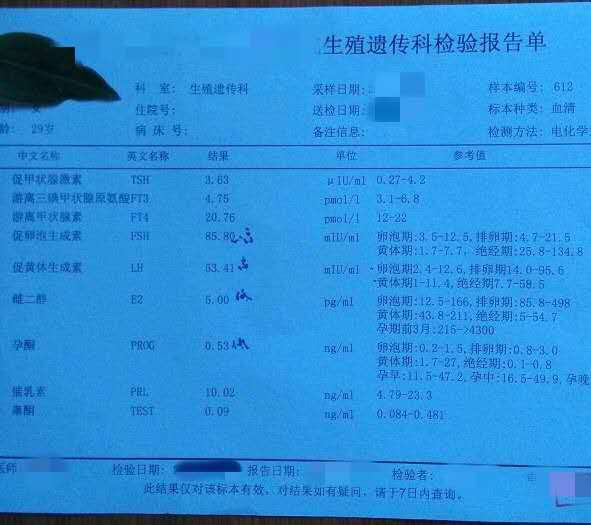  供卵试管助孕，29岁卵巢早衰患者实现生育梦