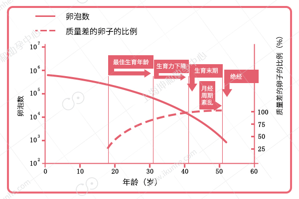  女人真的可以三十而骊？想要一路乘风破浪你得解决生育危机