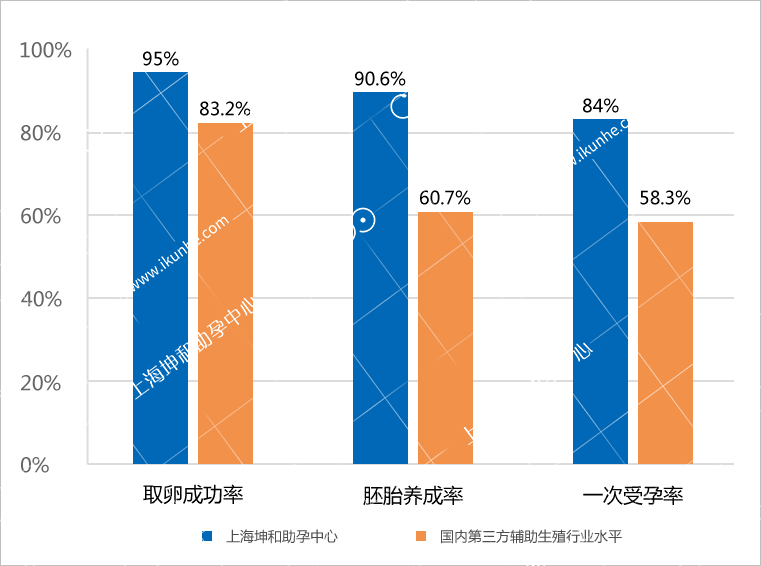 上海试管婴儿成功率