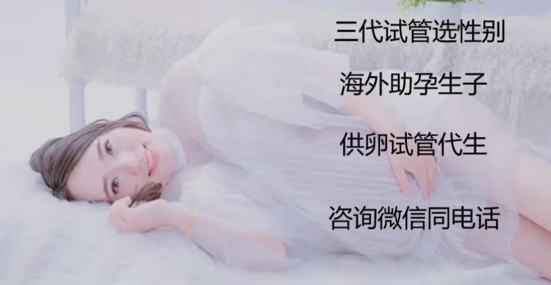 上海助孕公司有哪些